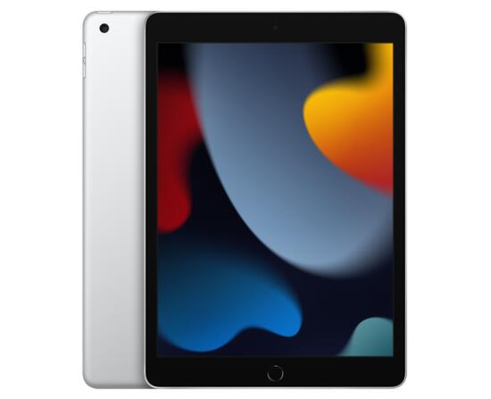 iPad9.jpg