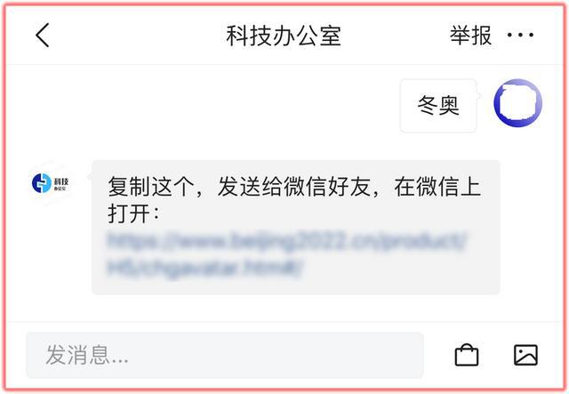 微信冬奥头像框怎么换？冰墩墩头像框设置方法[多图]图片6