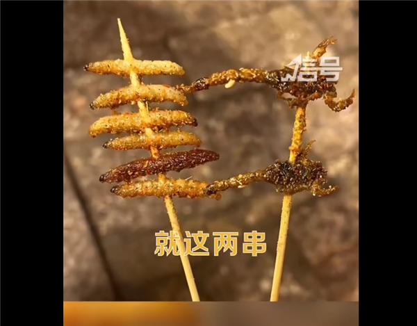 女子丽江60元买2串烧烤仅6只虫2只蝎 景区回应其吐槽：特色小吃贵