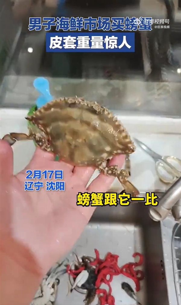 男子称买200元螃蟹皮套得占70元：感觉赔大了