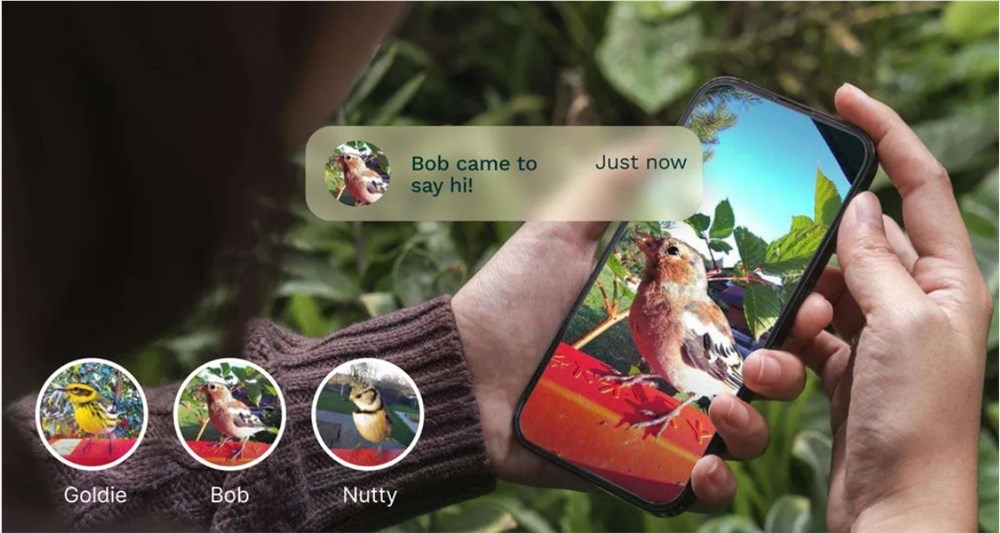 Bird Buddy Launches Name That Bird Feature: AI-Powered Bird Identification and Tracking