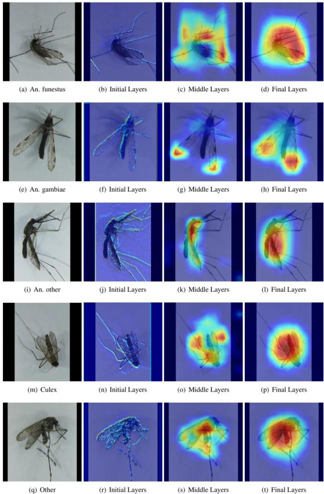 Bill Gates Launches AI Technology: A New Mosquito Control Weapon to Combat Malaria