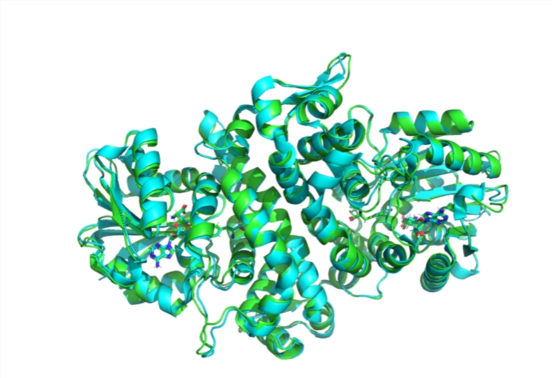 Equipo de investigación del MIT lanza el modelo de IA de código abierto Boltz-1 para impulsar la predicción de estructuras biomoleculares