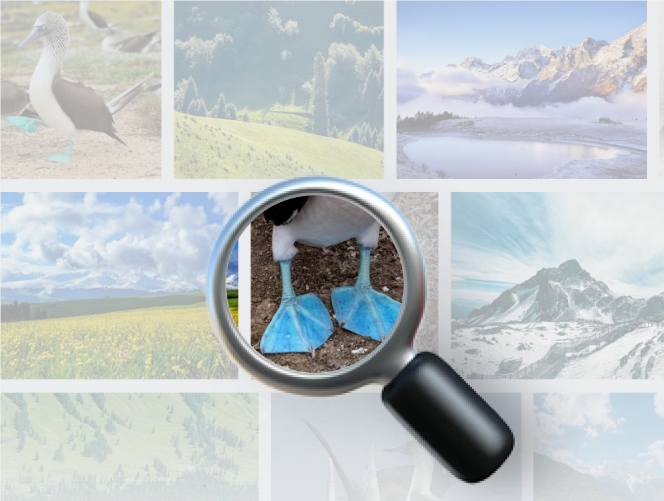 Tencent Yuanbao Upgrades Again: One-Phrase Search, Images and Videos Instantly Displayed, Information Access More Intuitive!