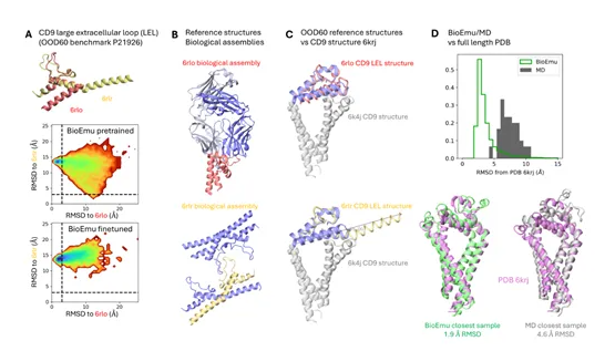 Microsoft BioEmu Model Dramatically Shortens Protein Simulation Time